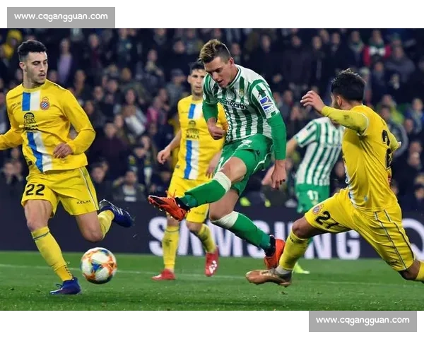 英超焦点战西布朗迎战热刺视频直播全程解析赛前看点阵容走势深度解读